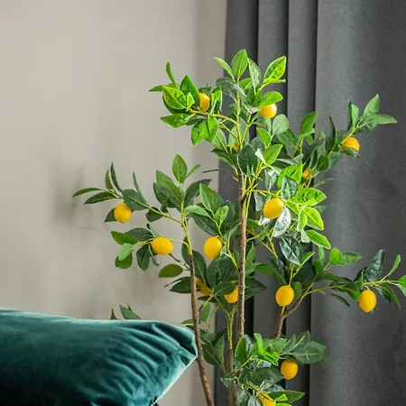 Apartamento Luxury Collection Flats In Centre Of #beautiful #brasov At #coresi Mall *