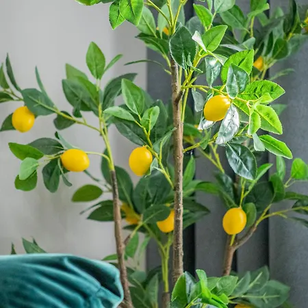 Luxury Collection Flats In Centre Of #beautiful #brasov At #coresi Mall * Braşov