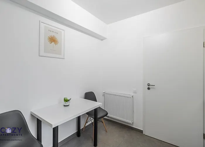 Luxury Collection Flats In Centre Of #beautiful #brasov At #coresi Mall Apartment Brasov