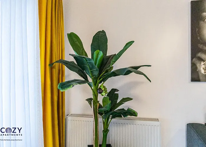 Luxury Collection Flats In Centre Of #beautiful #brasov At #coresi Mall 公寓