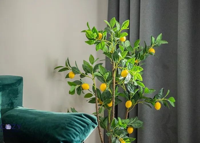 Apartment Luxury Collection Flats In Centre Of #beautiful #brasov At #coresi Mall *