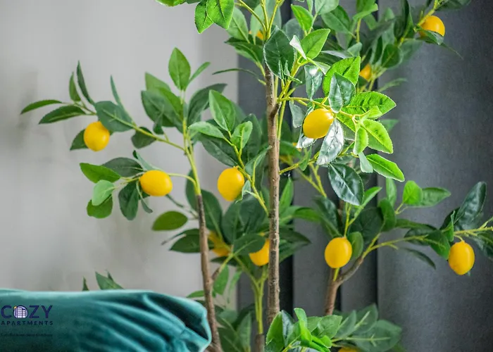 Luxury Collection Flats In Centre Of #beautiful #brasov At #coresi Mall * 布拉索夫