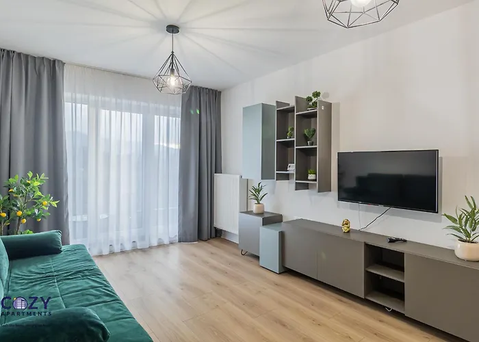 Luxury Collection Flats In Centre Of #beautiful #brasov At #coresi Mall 公寓